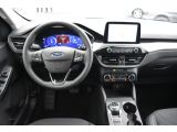 Ford Kuga bei Gebrauchtwagen.expert - Abbildung (12 / 15)