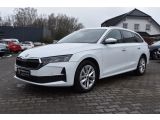 Skoda Octavia bei Gebrauchtwagen.expert - Abbildung (3 / 15)