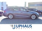 Skoda Octavia bei Gebrauchtwagen.expert - Abbildung (2 / 15) Skoda Octavia bei Gebrauchtwagen.expert - Abbildung (2 / 15)
