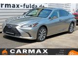 Lexus ES bei Gebrauchtwagen.expert - Abbildung (12 / 15)