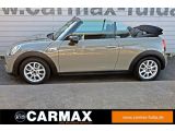 Mini Cooper S Cabrio bei Gebrauchtwagen.expert - Abbildung (13 / 15)