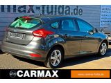 Ford Focus bei Gebrauchtwagen.expert - Abbildung (14 / 15)