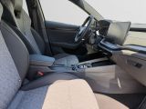 Skoda Octavia bei Gebrauchtwagen.expert - Abbildung (15 / 15) Skoda Octavia bei Gebrauchtwagen.expert - Abbildung (15 / 15)