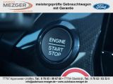 Ford Fiesta bei Gebrauchtwagen.expert - Abbildung (15 / 15)