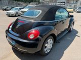 VW New Beetle bei Gebrauchtwagen.expert - Abbildung (12 / 15) VW New Beetle bei Gebrauchtwagen.expert - Abbildung (12 / 15)