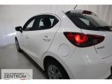 Mazda 2 bei Gebrauchtwagen.expert - Abbildung (13 / 13)