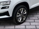 Skoda Karoq bei Gebrauchtwagen.expert - Abbildung (6 / 11)
