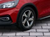 Ford Focus Turnier bei Gebrauchtwagen.expert - Abbildung (6 / 15)