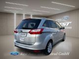 Ford C-MAX bei Gebrauchtwagen.expert - Abbildung (6 / 14)