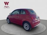 Fiat 500 C bei Gebrauchtwagen.expert - Abbildung (14 / 15) Fiat 500 C bei Gebrauchtwagen.expert - Abbildung (14 / 15)