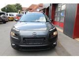 Citroen C4 Cactus bei Gebrauchtwagen.expert - Abbildung (3 / 15)