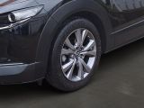 Mazda CX-30 bei Gebrauchtwagen.expert - Abbildung (6 / 12)