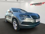 Skoda Karoq bei Gebrauchtwagen.expert - Abbildung (3 / 15)