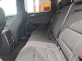Ford Kuga bei Gebrauchtwagen.expert - Abbildung (11 / 12) Ford Kuga bei Gebrauchtwagen.expert - Abbildung (11 / 12)