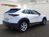 Mazda CX-30 bei Gebrauchtwagen.expert - Abbildung (11 / 13)
