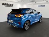 Ford Puma bei Gebrauchtwagen.expert - Abbildung (3 / 15)