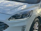 Ford Kuga bei Gebrauchtwagen.expert - Abbildung (6 / 14)