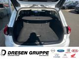 Ford Focus bei Gebrauchtwagen.expert - Abbildung (12 / 14)