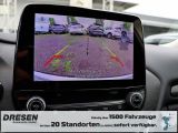 Ford Puma bei Gebrauchtwagen.expert - Abbildung (12 / 15)