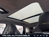 BAIC X55 Luxury bei Gebrauchtwagen.expert - Abbildung (15 / 15)