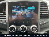 Renault Talisman bei Gebrauchtwagen.expert - Abbildung (15 / 15)