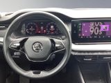Skoda Octavia bei Gebrauchtwagen.expert - Abbildung (14 / 15)