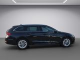 Skoda Octavia bei Gebrauchtwagen.expert - Abbildung (6 / 15)