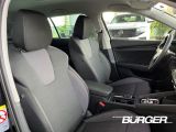 Skoda Octavia bei Gebrauchtwagen.expert - Abbildung (9 / 15)