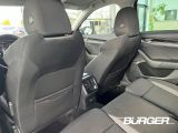 Skoda Octavia bei Gebrauchtwagen.expert - Abbildung (10 / 15)