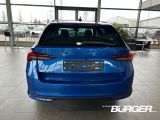 Skoda Octavia bei Gebrauchtwagen.expert - Abbildung (6 / 15)