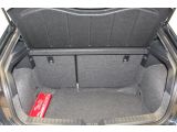 Seat Ibiza bei Gebrauchtwagen.expert - Abbildung (15 / 15)