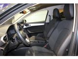 Seat Leon bei Gebrauchtwagen.expert - Abbildung (14 / 15)