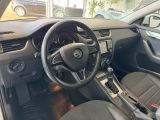 Skoda Octavia bei Gebrauchtwagen.expert - Abbildung (14 / 15) Skoda Octavia bei Gebrauchtwagen.expert - Abbildung (14 / 15)