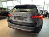 Skoda Octavia RS bei Gebrauchtwagen.expert - Abbildung (7 / 15)