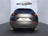 Mazda MX-30 bei Gebrauchtwagen.expert - Abbildung (9 / 15)