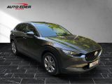 Mazda CX-30 bei Gebrauchtwagen.expert - Abbildung (5 / 15)