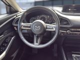 Mazda CX-30 bei Gebrauchtwagen.expert - Abbildung (13 / 15)