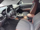 Mazda MX-30 bei Gebrauchtwagen.expert - Abbildung (7 / 15)