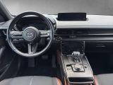 Mazda MX-30 bei Gebrauchtwagen.expert - Abbildung (13 / 15)
