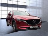 Mazda CX 5 bei Gebrauchtwagen.expert - Abbildung (5 / 15)