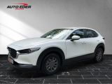 Mazda CX-30 bei Gebrauchtwagen.expert - Abbildung (2 / 15)