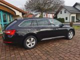 Skoda Superb bei Gebrauchtwagen.expert - Abbildung (5 / 15)