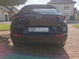 Mazda CX-30 bei Gebrauchtwagen.expert - Abbildung (9 / 15)