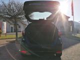 Honda Jazz bei Gebrauchtwagen.expert - Abbildung (10 / 14)