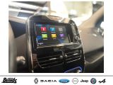 Renault Zoe bei Gebrauchtwagen.expert - Abbildung (15 / 15)