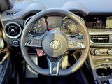 Alfa Romeo Stelvio bei Gebrauchtwagen.expert - Abbildung (15 / 15)