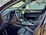 Alfa Romeo Stelvio bei Gebrauchtwagen.expert - Abbildung (6 / 15)