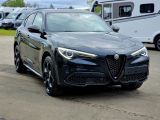 Alfa Romeo Stelvio bei Gebrauchtwagen.expert - Abbildung (4 / 15)