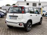 Fiat Panda bei Gebrauchtwagen.expert - Abbildung (2 / 14)