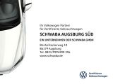 VW Golf VIII bei Gebrauchtwagen.expert - Abbildung (11 / 11)